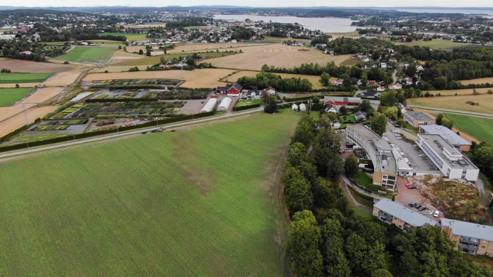 Lenke til artikkel: Næringsareal i Færder