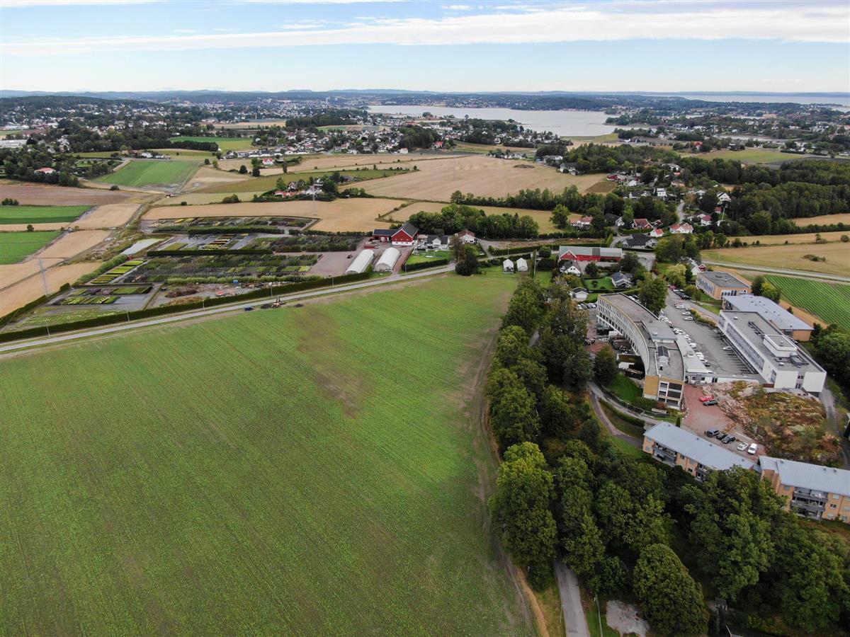 Dronebilde av Gipø. - Klikk for stort bilde