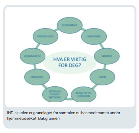 Integrert helsetjeneste sirkel - Klikk for stort bilde